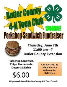 Proven fundraising ideas for 4 h clubs