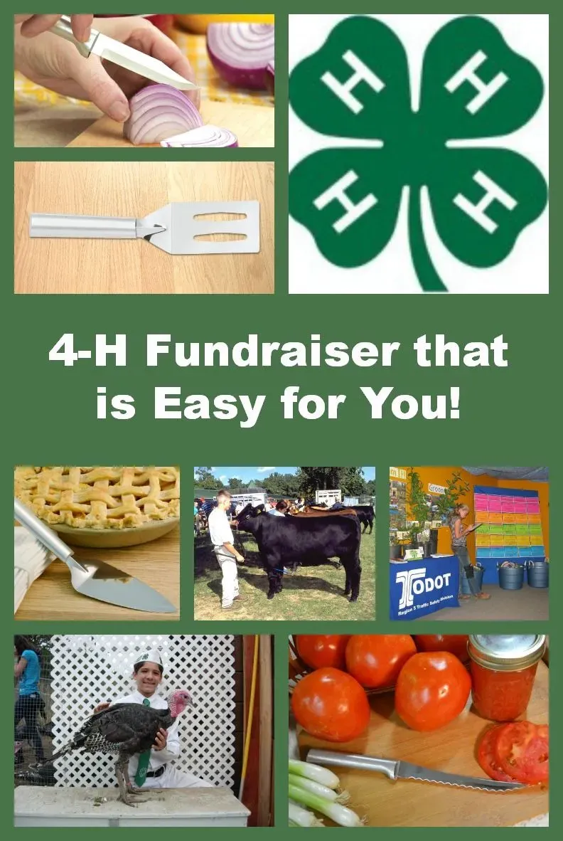 HighImpact Fundraising Ideas for 4H Clubs